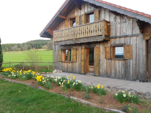 Hotel Falter