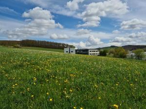 Hôtel Hotel FÜNF10 Nauholzer Weg 19a 57250 Netphen Rhénanie du Nord - Westphalie