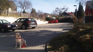 Hotel Garni Altes Wirtshaus Fördergersdorf