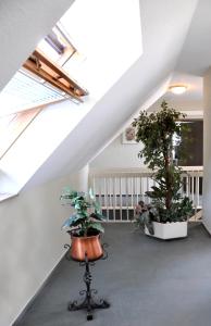 Hotel Garni Haus Dornheim
