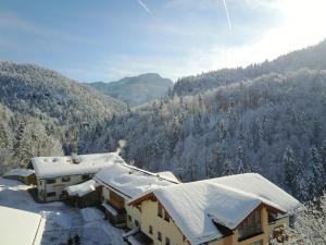 Hôtel Hotel-Gasthof Mauthäusl Mauthäusl 1 83458 Weißbach Bavière