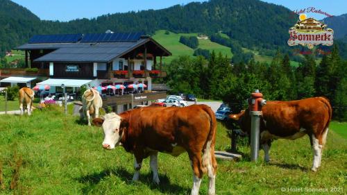 Hotel-Gasthof-Sonneck