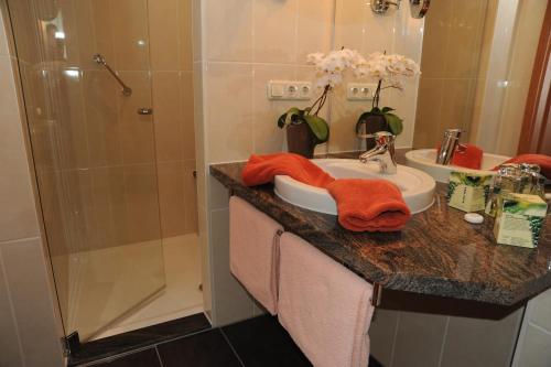 Hotel Goldner Anker