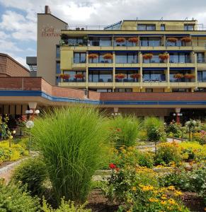 Hôtel Hotel Graf Eberhard Bei den Thermen 2 72574 Bad Urach Bade-Wurtemberg