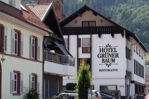 Hotel Grüner Baum - Melissone Italian Restaurant