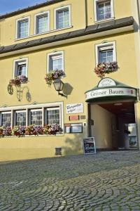 Hôtel Hotel Grüner Baum Marktplatz 5 95119 Naila Bavière