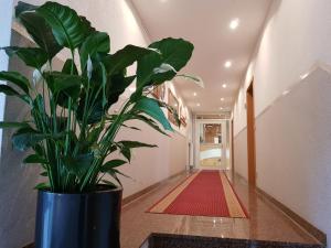 Hotel Habana