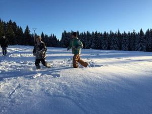 Hôtel Hotel Harzidyll Bodestr. 4 38700 Braunlage Basse-Saxe