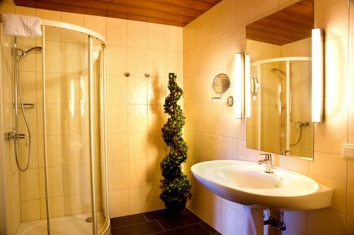 Hotel Haus Krone
