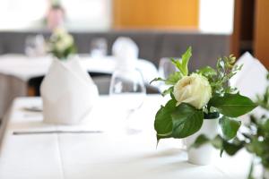 Hotel Hauser Boutique