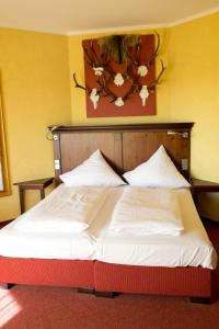 Hôtel Hotel Hirsch Schulstrasse 3-7 64757 Rothenberg Hesse