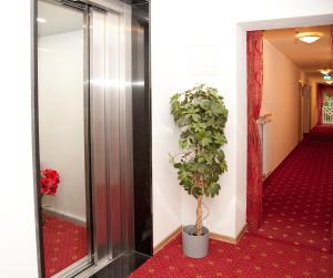 Hotel Hutzenthaler