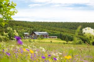 Hôtel Hotel Jens Weissflog Emil-Riedel-Straße 50 09484 Kurort Oberwiesenthal Saxe