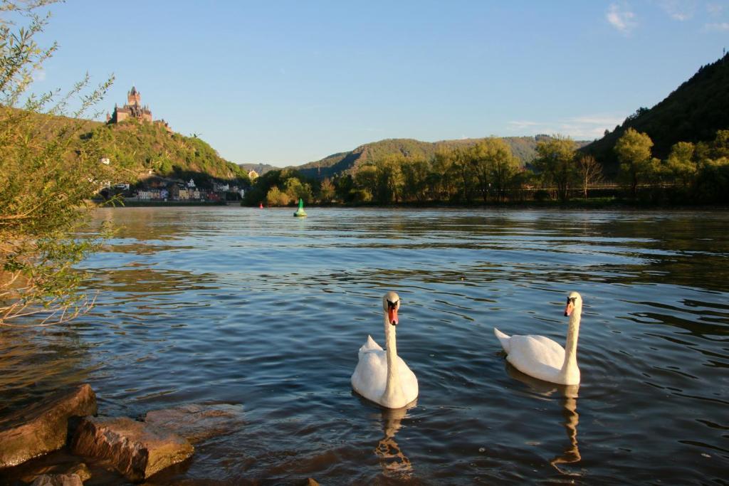 Hotel Klasen Sehler Anlagen 8, 56812 Cochem