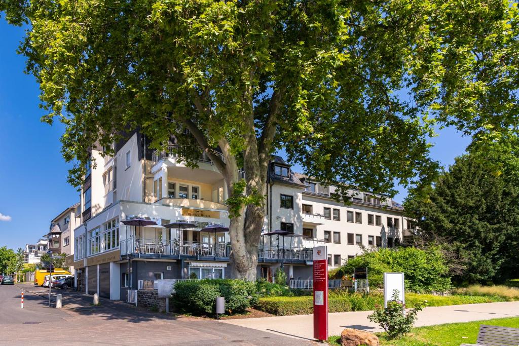 Hotel Kleiner Riesen Januarius-Zick-Str. 11, 56068 Coblence