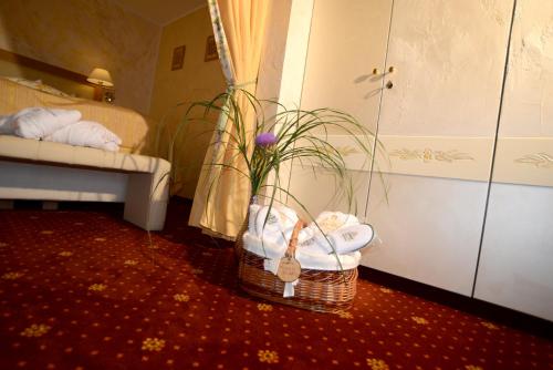 Hotel Krone Igelsberg