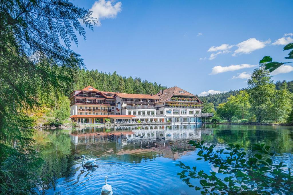 Hôtel Hotel Langenwaldsee Strassburger Str. 99 72250 Freudenstadt