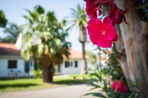 Hôtel Le Domaine du Mas Blanc by Popinns
