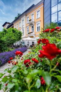 Hôtel Hotel Lindenhof Bad Schandau Rudolf-Sendig-Strasse 11 01814 Bad Schandau Saxe