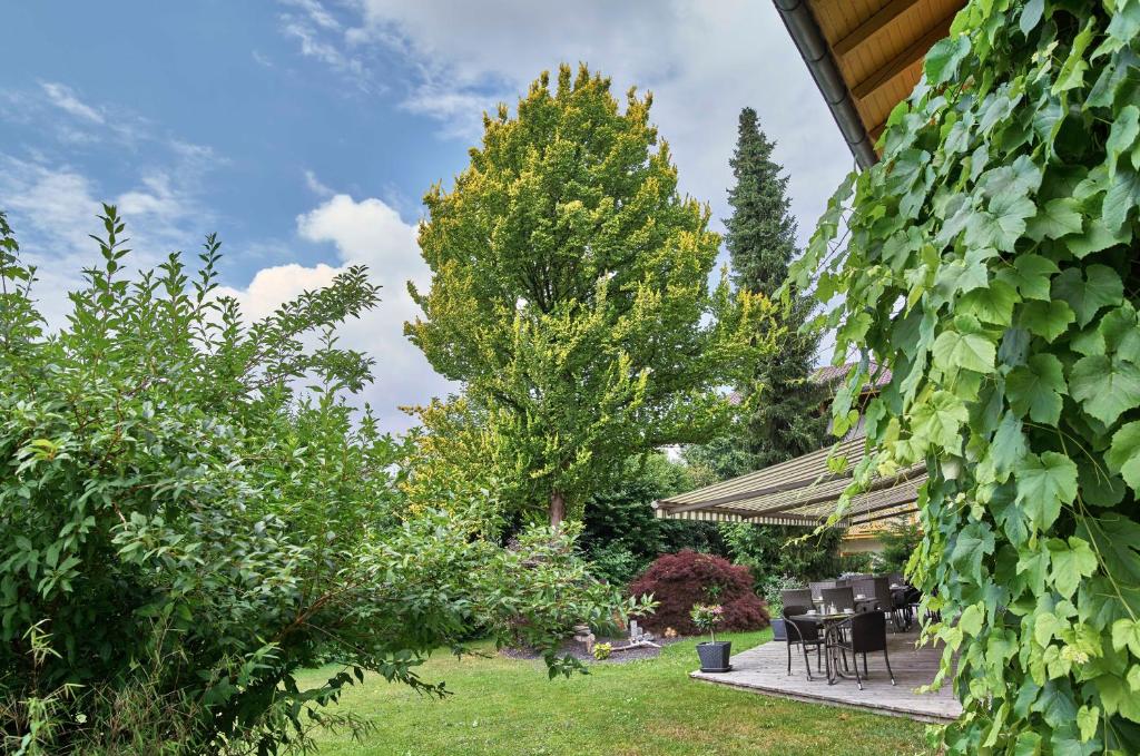 Hotel Lindenhof Kurpromenade 12, 94136 Kellberg