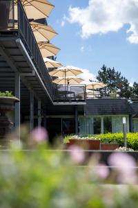 Hotel Lindenhof