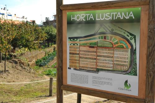 Hotel Lusitania Congress & Spa