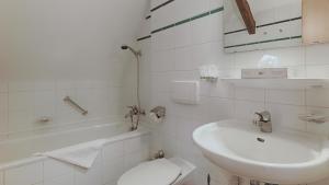 Hotel Luther Birke Wittenberg