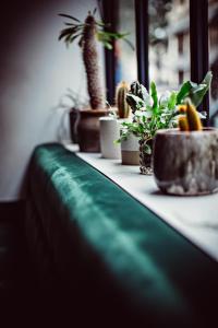 Hotel Monsieur Helder