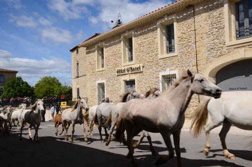 Hôtel O’Banel