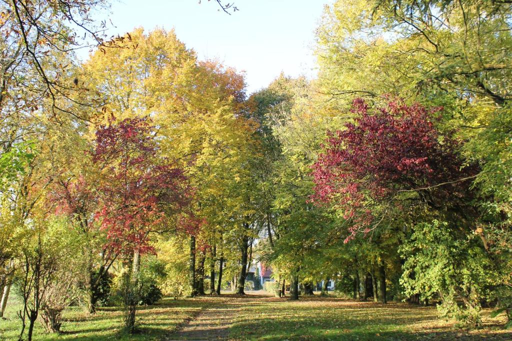 Hotel Pension Haus Stork Dummerterstr. 1, 32361 Holzhausen