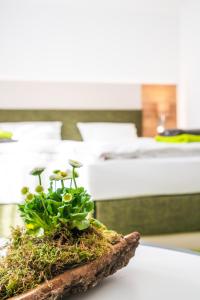 Hotel-Pension Treppengasse Nr 6