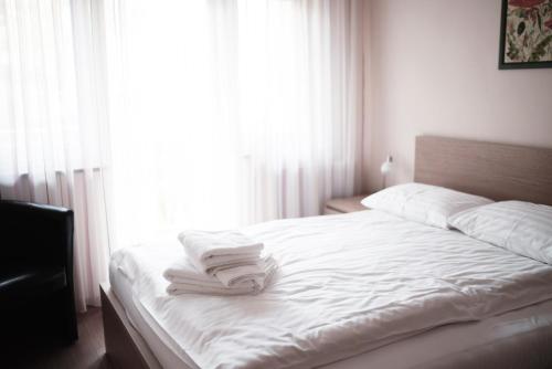 Hotel - Pension Vesta