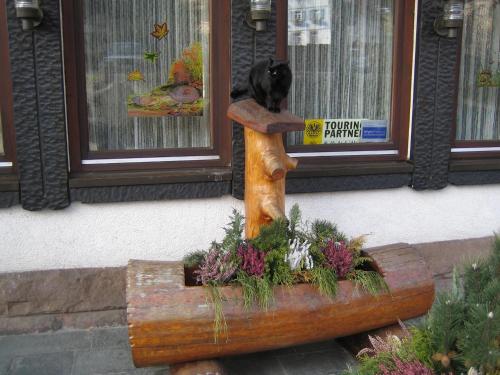 hotel rappen