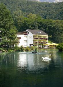 Hôtel Hotel Residenz Am Schwanenteich 9 56864 Bad Bertrich Rhénanie-Palatinat