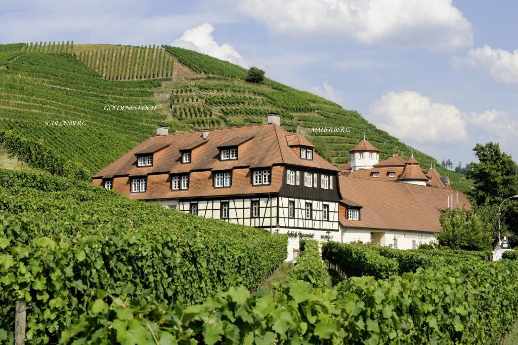 Hotel Residenz im Schloss Neuweier 21 Mauerbergstraße, 76534 Baden-Baden