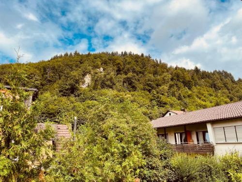 Hotel Restaurant Adler Stube