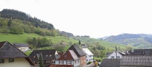 Hotel Restaurant Adler Stube