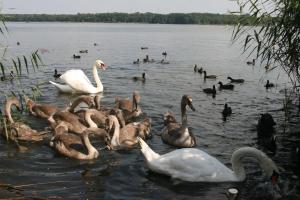 Hotel-Restaurant Alter Krug Kallinchen