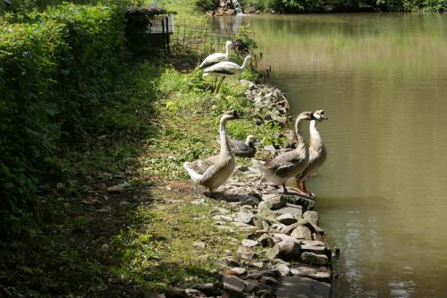 Hotel Restaurant Muckensee