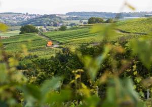 Hôtel Hotel & Restaurant Tanne Dorfstrasse 31 79592 Fischingen Bade-Wurtemberg
