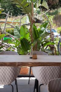 Hotel Scandola