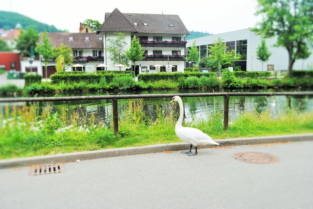 Hotel Schiff Nagold Unterm Wehr 19-21, 72202 Nagold