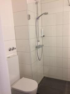 Hotel Schober