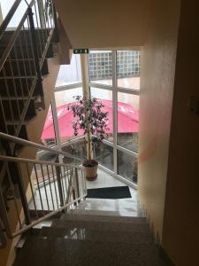 Hôtel Hotel Steakhouse Am Rathaus Marktplatz 16 36142 Tann Hesse