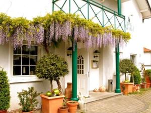 Hotel Sterkel