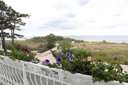 Hotel Stolteraa