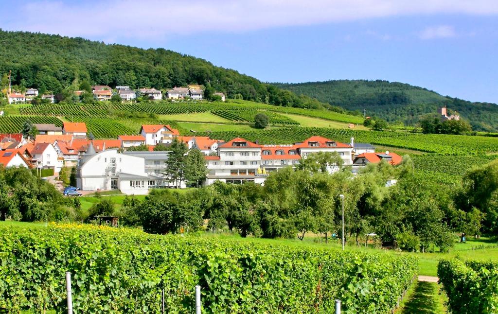 Hotel Südpfalz-Terrassen Winzergasse 42, 76889 Gleiszellen-Gleishorbach