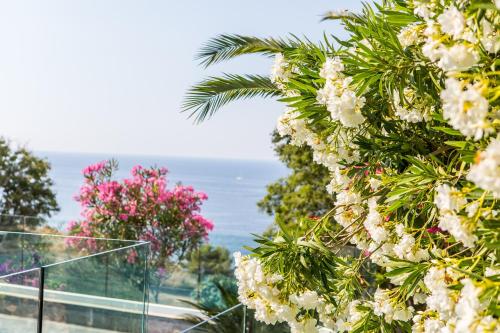 Hotel Villa R