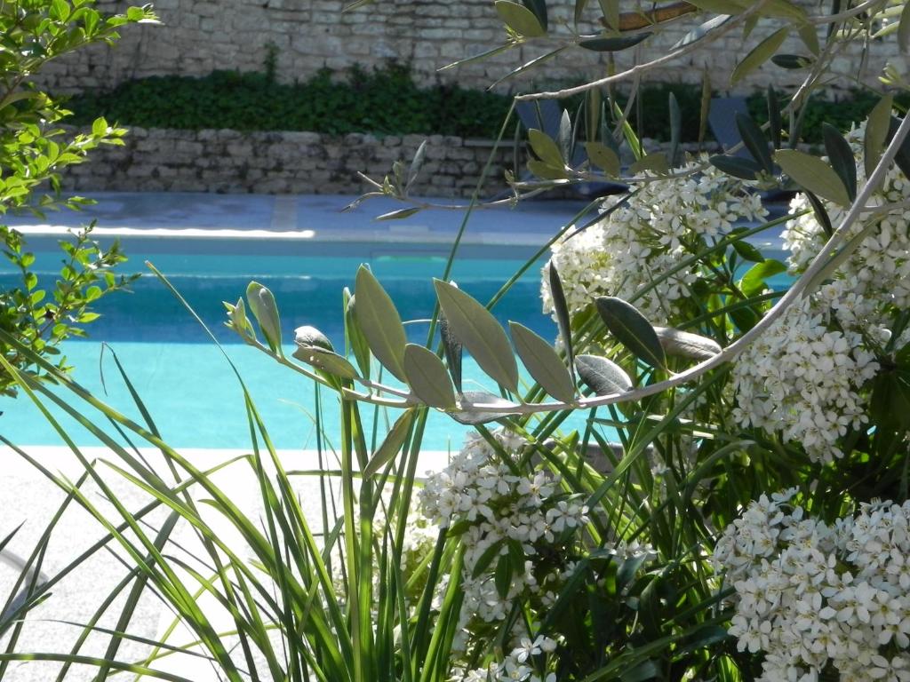 Hotel Waldoza
