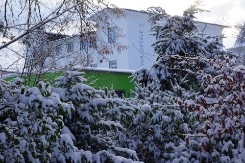 Hotel Waldperle